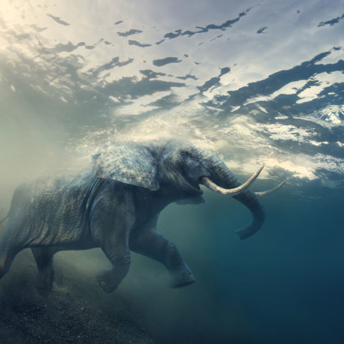 Dream Tending and Deep Imagination Certificate II Program with Stephen Aizenstat, Ph.D.