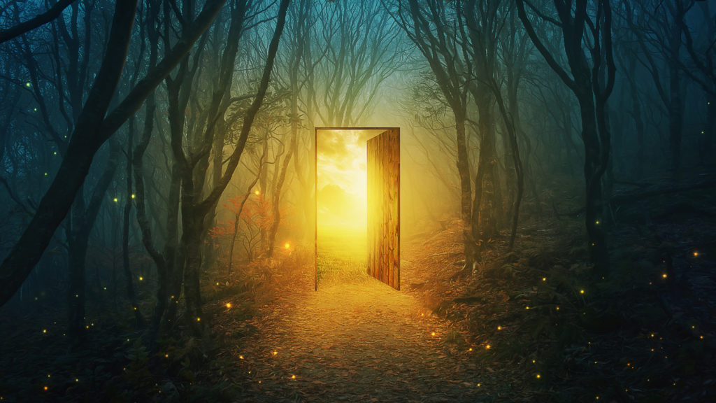 A magical door in the forest with bright glowing lights.